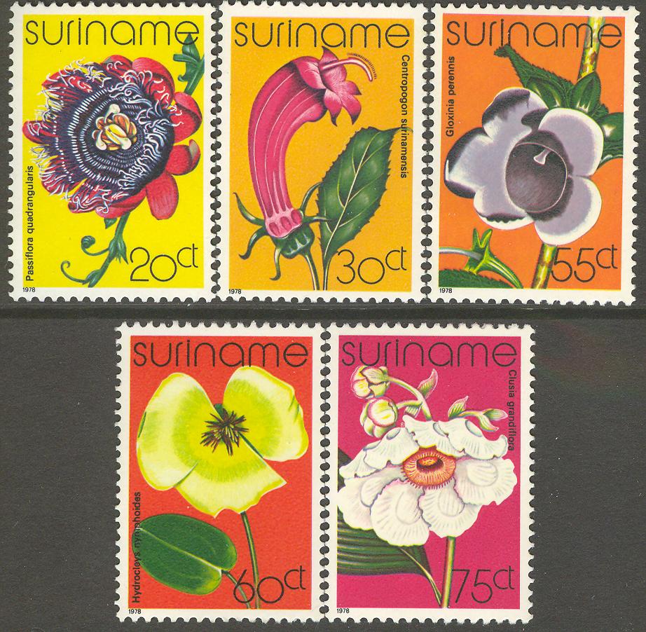 Suriname19781 hollandsglorie