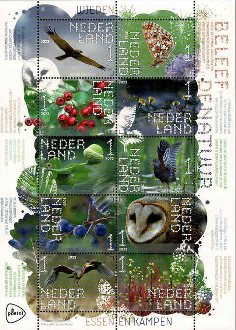 4110-19 Natuur Wieden Nederland 2023