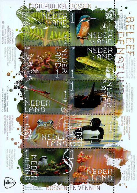 4137-46 Natuur Oisterwijkse bossen Nederland 2023