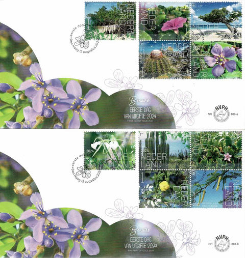 4216-25-E883AB Flora Bonaire Nederland 2024