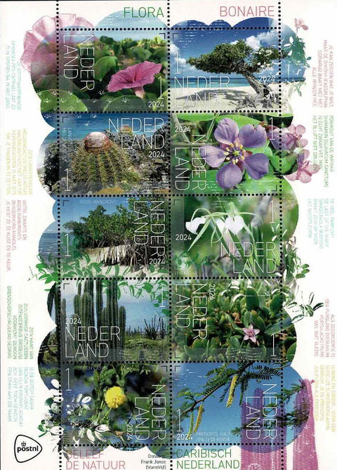 4216-25 Flora Bonaire Nederland 2024
