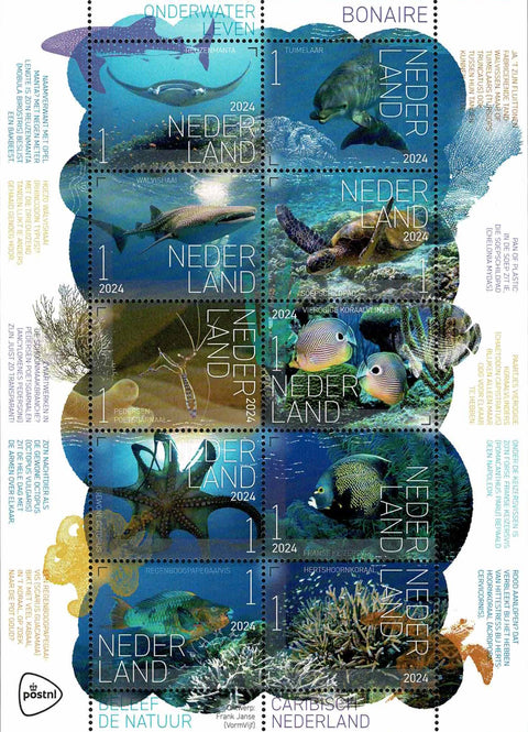 4200-09 Onderwaterwereld Bonaire Nederland 2024