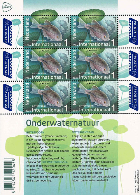 4198V Onderwaternatuur Vel Nederland 2024