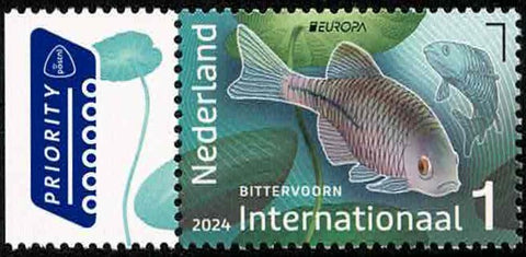 4198 Onderwaternatuur Nederland 2024