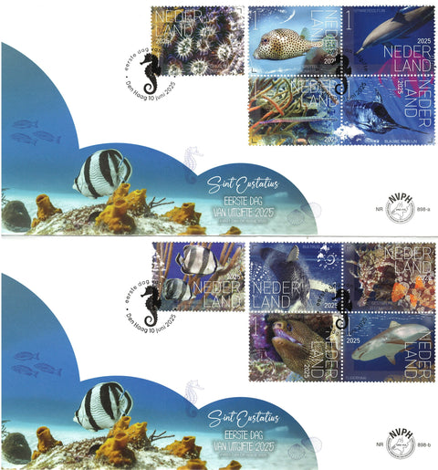 4294-03-E898AB Onderwaterleven Sint Eustatius Nederland 2025