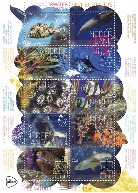 4294-03 Onderwaterleven Sint Eustatius Nederland 2025