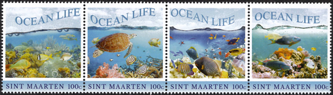 St.Maarten Ocean Life 2018
