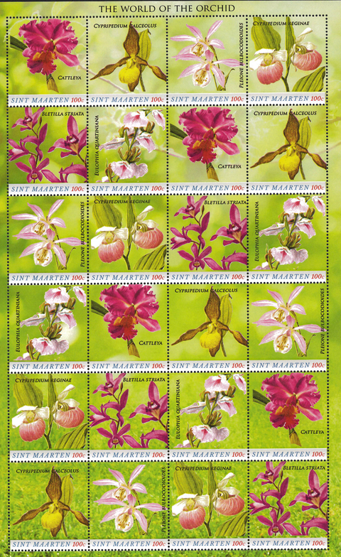 St.Maarten Bloemen 2020