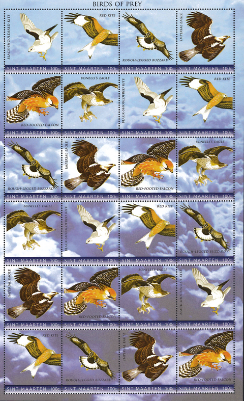 St.Maarten Vogels  2020