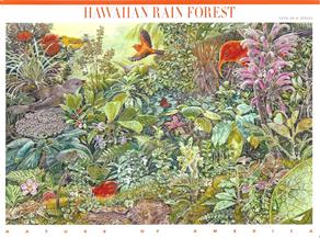 12 Hawaiian Rain Forest