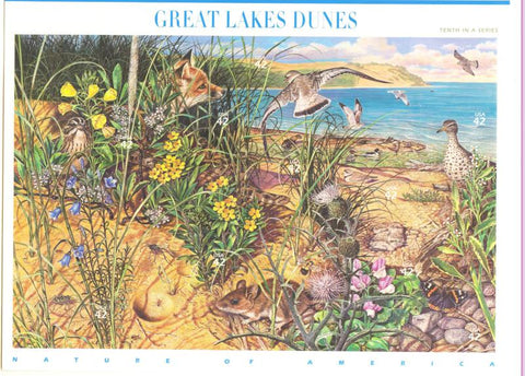 10 Great Lakes Dunes