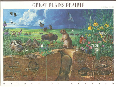 03 Great Plains Prairie