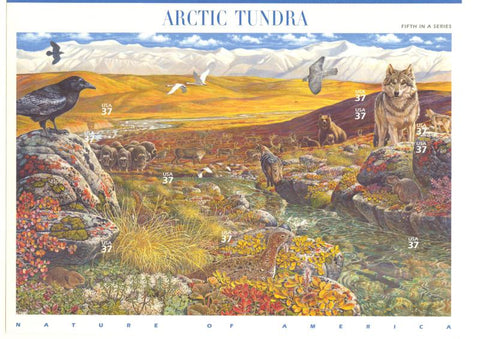 05 Arctic Tundra