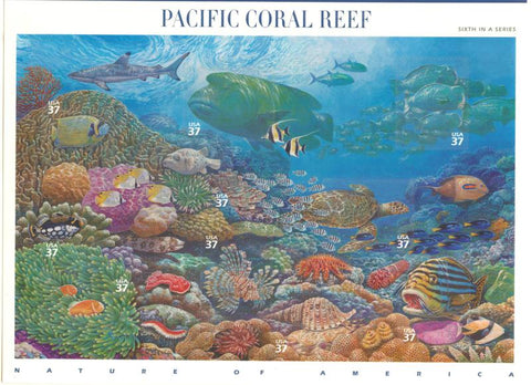 06 Pacific Coral Reef