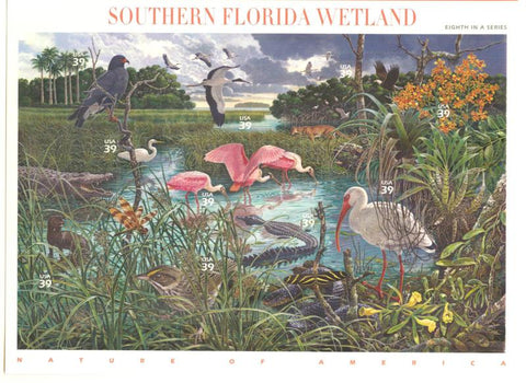 08 Southern Florida Wetland