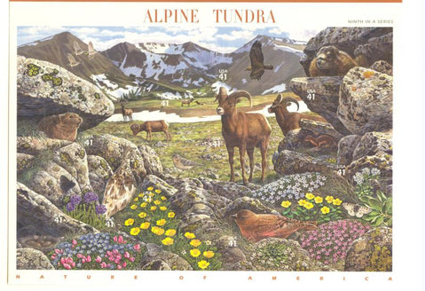 09 Alpine Tundra