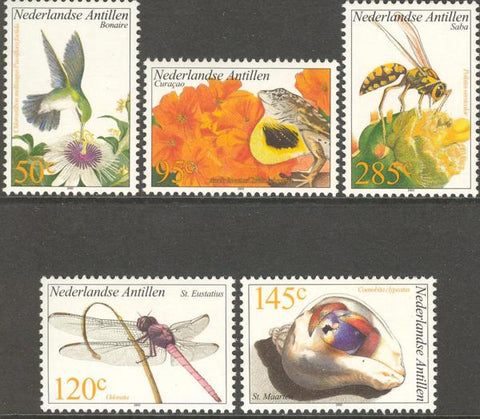 Antillen2002-5