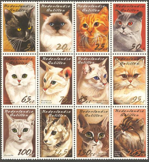 Antillen2003_12