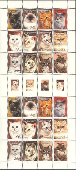 Antillen2003_12ms3