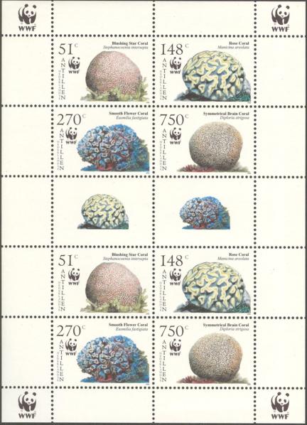 Antillen2005_10ms5