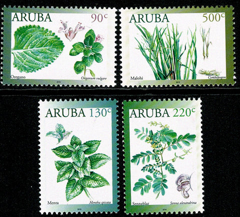 Aruba2019 Kruidenplanten