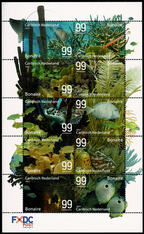 Bonaire2017-2 Onderwaterwereld (115/124)