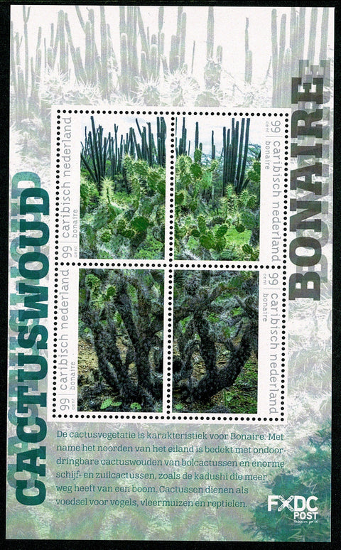 Bonaire2018-3 Cactuswoud (154)