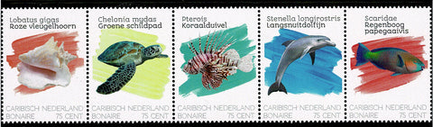 Bonaire2020-1 Zeedieren (232/36)
