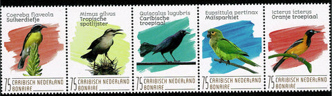 Bonaire2020-4 Vogels (247/51)