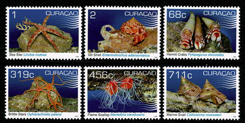 Curacao2019 Schelpdieren (411/16)