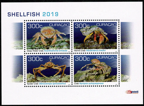 Curacao2019 Krabben Blok (417)