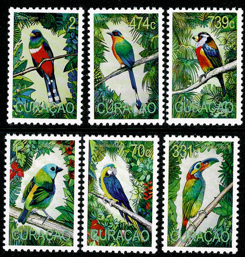 Curacao2020 Vogels (462/67)