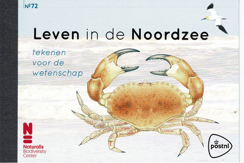 PR0072 Leven in de Noordzee 2017