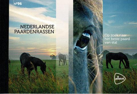 PR0096 Nederlandse Paardenrassen 2021