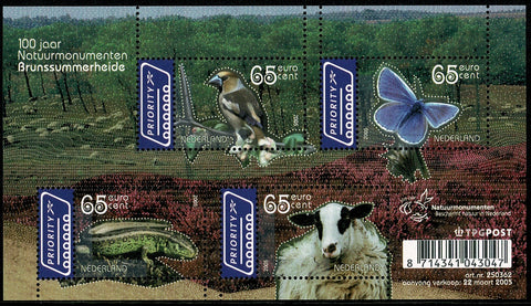 2336 100 Jaar Natuur Monumenten Brunssummerheide