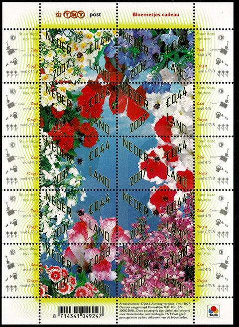 2500-09V Bloemetjes Cadeau - Nederland 2007