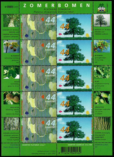 2510-11V Bomen in de Zomer Vel - Nederland 2007