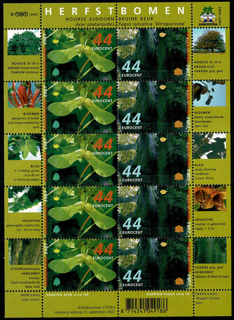 2520-21V Bomen in de Herfst Vel - Nederland 2007