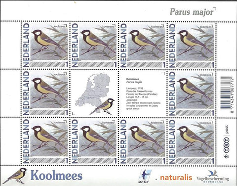2791V Koolmees Vel Nederland 2011