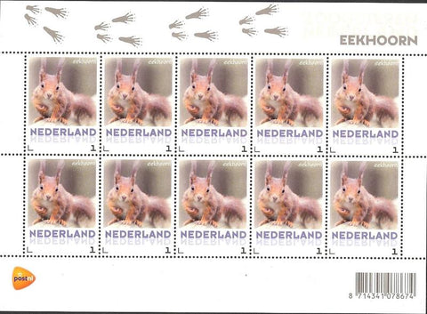 3013V Eekhoorn Vel Nederland 2013