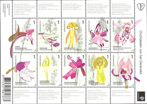 3175-84 Bloemen, Orchideeën uit het Gerendal Nederland 2014