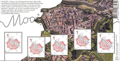 3301 Mooi Nederland Hulst 2015