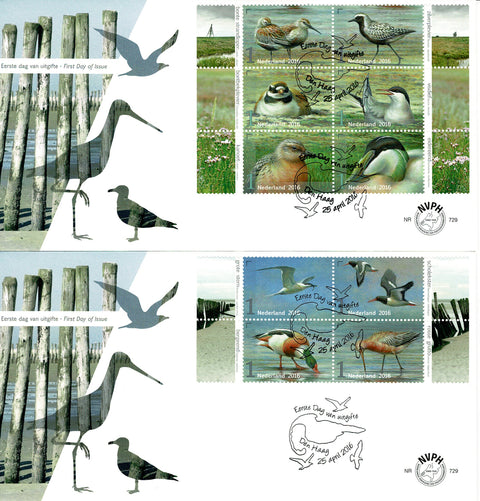 3401-10-E729 Vogels van het Wad Nederland 2016