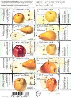 3431-40 Appel-en perenrassen Nederland 2016
