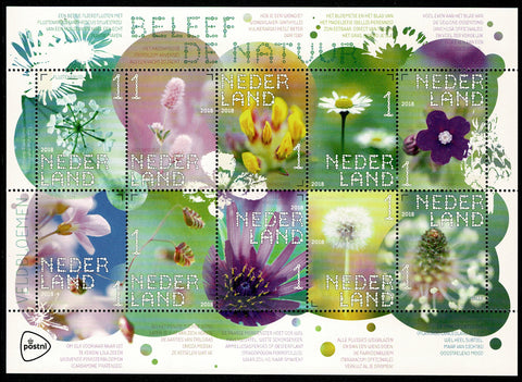 3632-41 Natuur Veldbloemen 2018