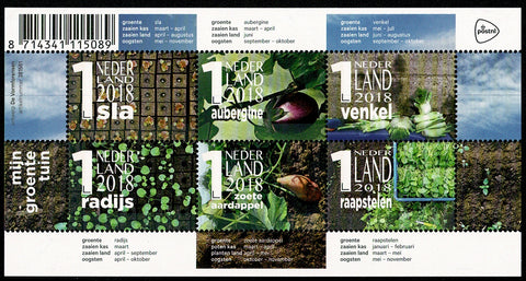 3696 Mijn Groentetuin 2018