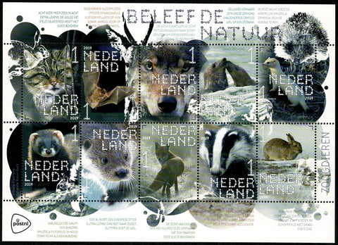 3711-20 Natuur Zoogdieren 2019