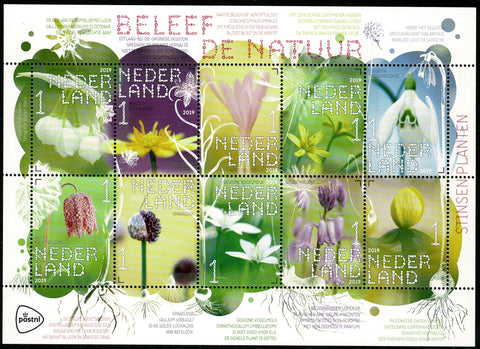 3726-25 Natuur Stinsenplanten 2019