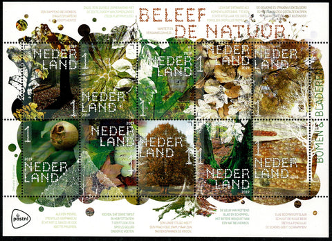 3776-85 Natuur Bomen en Bladeren 2019