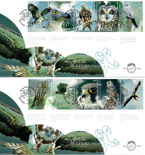 3812-21-E797AB Natuur Roofvogels 2020